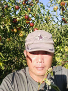 沾化冬枣生态种植基地——鲁令功 荣获“原生态优质水果”冠军